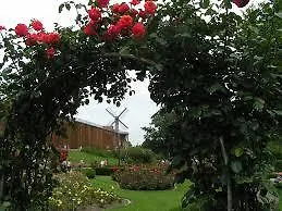 Apartment Sonniges Im Haus Deutsch Krone Bad Rothenfelde