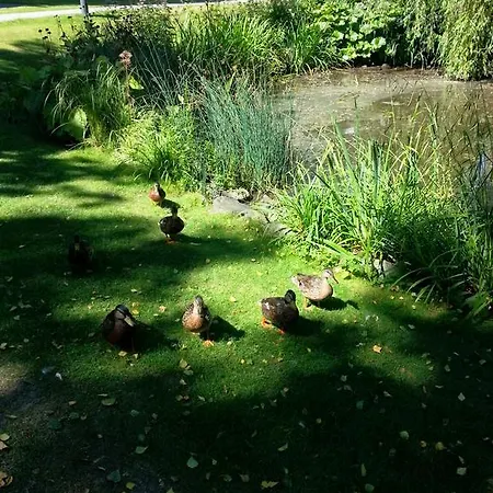 Sonniges Im Haus Deutsch Krone * Bad Rothenfelde