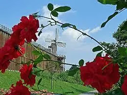 Apartment Sonniges Im Haus Deutsch Krone *